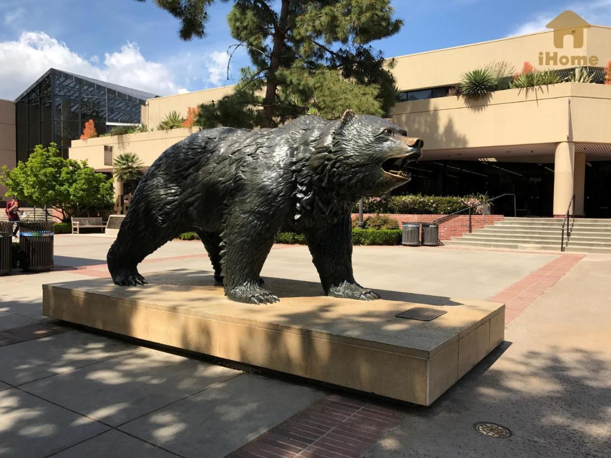 לוס אנג'לס "Resort Style Amenities Walk To Ucla" W Pool & Parking B2 מראה חיצוני תמונה